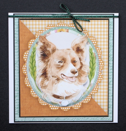 Beautiful Brown Boarder Collie by Marion Kimberley-Scott