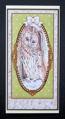 Peter Rabbit DL. Card Front  3 by Marion Kimberley-Scott
