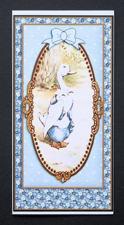 Peter Rabbit DL. Card Front  5 by Marion Kimberley-Scott