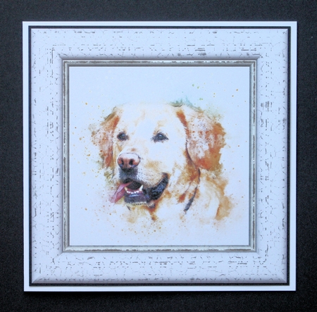 Watercolour Splatter Art - Dogs & Cats - Exclusive Bumper Kit by Marion Kimberley-Scott
