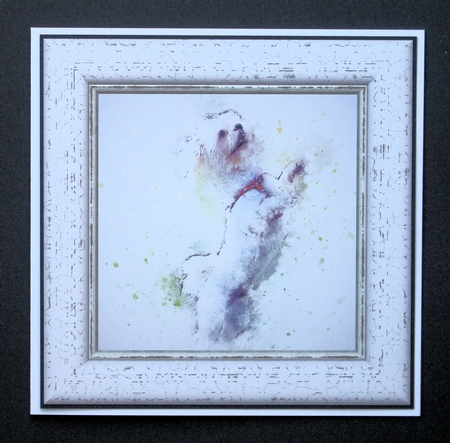 Watercolour Splatter Art - Dogs & Cats - Exclusive Bumper Kit by Marion Kimberley-Scott