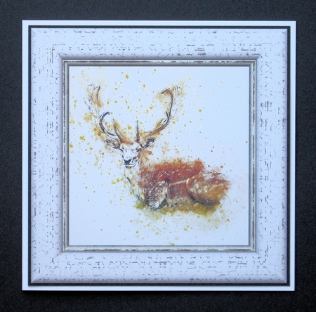 Watercolour Splatter Art - Woodland Animals - Exclusive Bumper Kit by Marion Kimberley-Scott