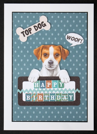 Top Dog by Marion Kimberley-Scott