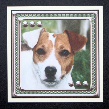 JJ LOVE MY DOG JACK RUSSELL 8X8 by Marion Kimberley-Scott