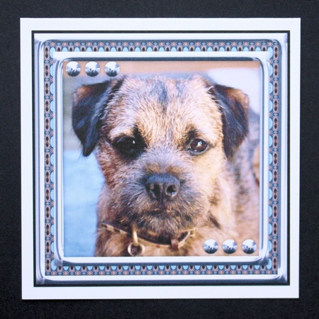  JJ LOVE MY DOG BORDER TERRIER 8X8 by Marion Kimberley-Scott