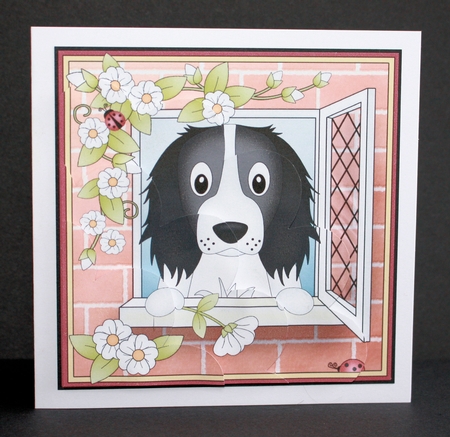 Shell Edged Corner Side Stacker - Through the Window - Cute Little Springer Spaniel Dog  by Marion Kimberley-Scott