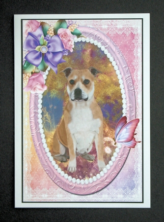 Staffordshire Bull Terrier by Marion Kimberley-Scott