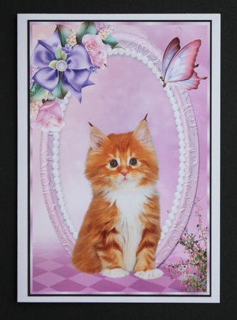 Orange Tabby Cat by Marion Kimberley-Scott
