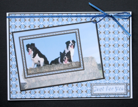 JJ FRIENDS FOREVER BORDER COLLIES KIT by Marion Kimberley-Scott