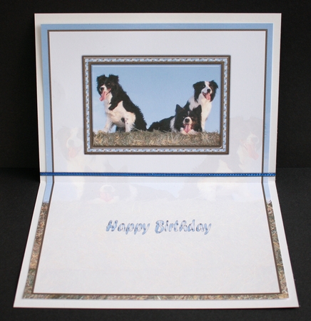 JJ FRIENDS FOREVER BORDER COLLIES KIT by Marion Kimberley-Scott