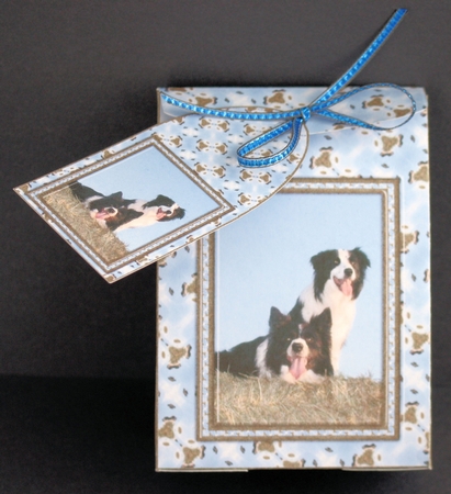 JJ FRIENDS FOREVER BORDER COLLIES PINCHBAG AND TAG by Marion Kimberley-Scott
