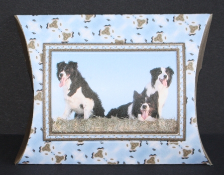 JJ FRIENDS FOREVER BORDER COLLIES PILLOW BOX by Marion Kimberley-Scott
