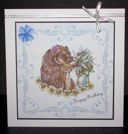 Sweet hedgehog 7 x 7 quick Birthday card front by Marion Kimberley-Scott