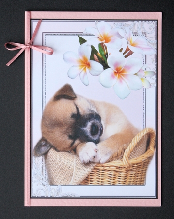 Adorable puppy sleeping in his basket by Marion Kimberley-Scott