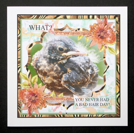 Bad Hair Day by Marion Kimberley-Scott