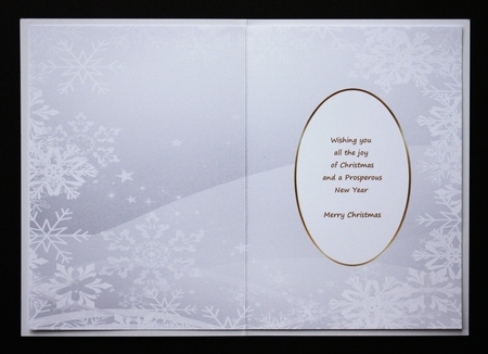 Christmas Snowflakes Insert 22 by Marion Kimberley-Scott