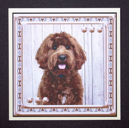 JJ LOVE MY DOG LABRADOODLE 2 8X8 by Marion Kimberley-Scott