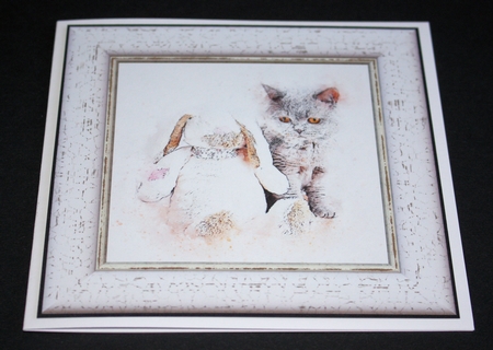 Watercolour Splatter Art - CATS - Exclusive Bumper Kit by Marion Kimberley-Scott
