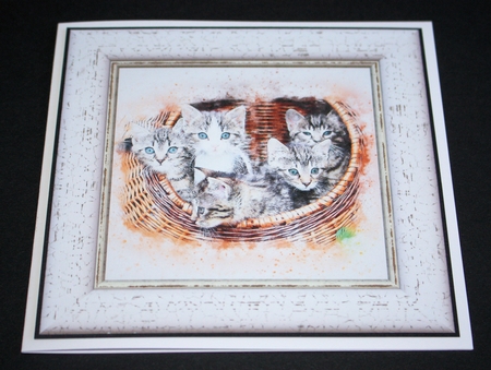 Watercolour Splatter Art - CATS - Exclusive Bumper Kit by Marion Kimberley-Scott