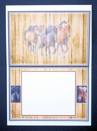 Wild Horses Insert by Marion Kimberley-Scott