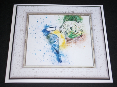 Watercolour Splatter Art - BIRDS - Exclusive Bumper Kit by Marion Kimberley-Scott