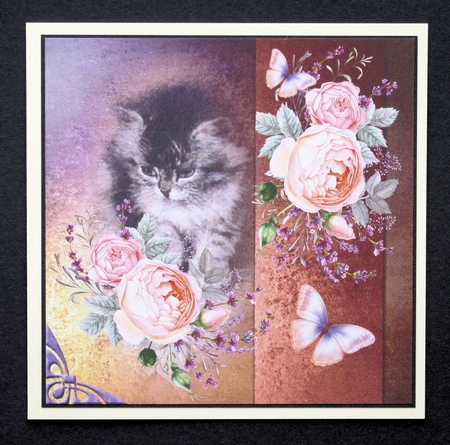 cat and orange  flowers by Marion Kimberley-Scott