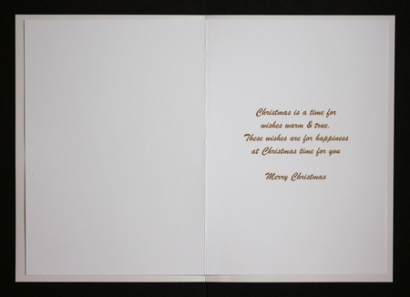 Christmas Insert 3 by Marion Kimberley-Scott