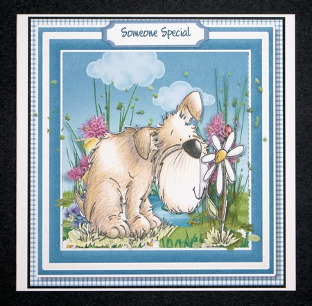 Just Smelling The Flowers  by Marion Kimberley-Scott