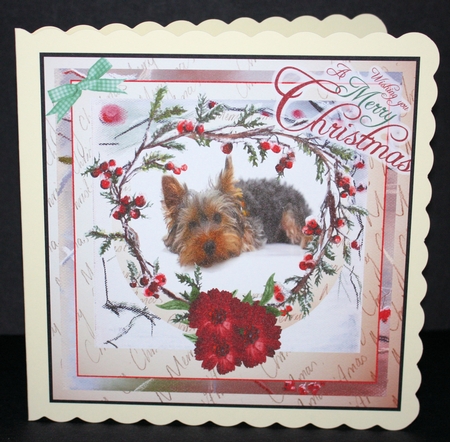 WAITING FOR CHRISTMAS YORKIE by Marion Kimberley-Scott