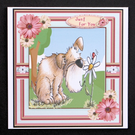 Smelling The Daisys  by Marion Kimberley-Scott