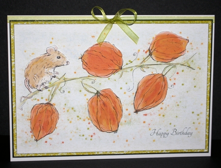 CUTE MOUSE BIRTHDAY A5 QUICK CARD- With Optional Decoupage & Commercial Use by Marion Kimberley-Scott