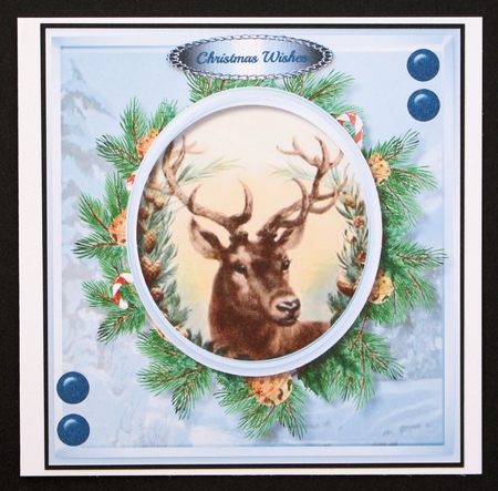 Beautiful Stag in a Christmas wreath by Marion Kimberley-Scott