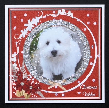 CHRISTMAS SELECTION WESTIE BABY by Marion Kimberley-Scott