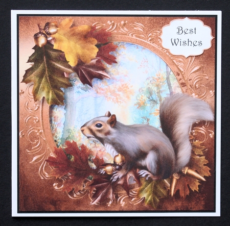The Autumn Squirrel 8x8 by Marion Kimberley-Scott