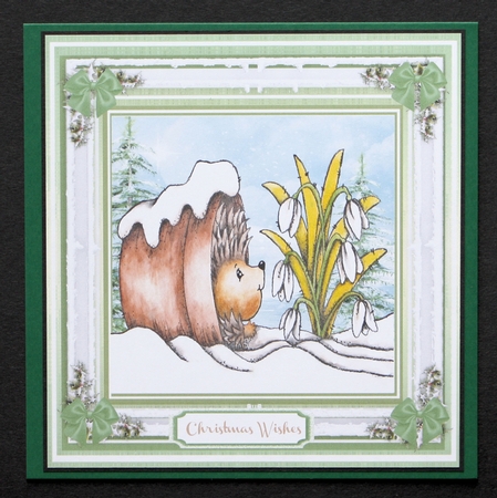 Hibernating Hedgehog  by Marion Kimberley-Scott