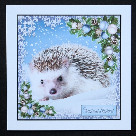 Adorable Hedgehog In The Snow 8x8 by Marion Kimberley-Scott
