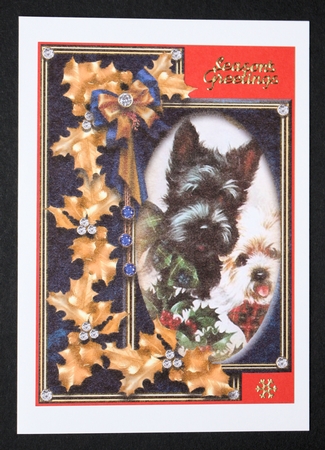 Christmas Critters 13 by Marion Kimberley-Scott