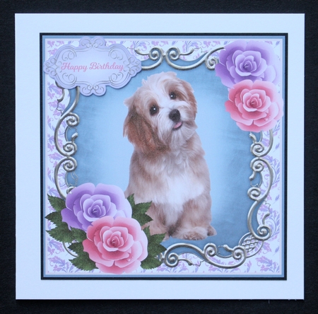 SHAGGY PUP quick card sheet by Marion Kimberley-Scott