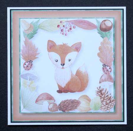 Fabulous Fox 8x8 by Marion Kimberley-Scott