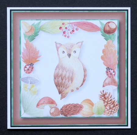 Wise Owl 8x8 by Marion Kimberley-Scott