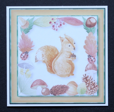 Soft Squirrel 8x8 by Marion Kimberley-Scott