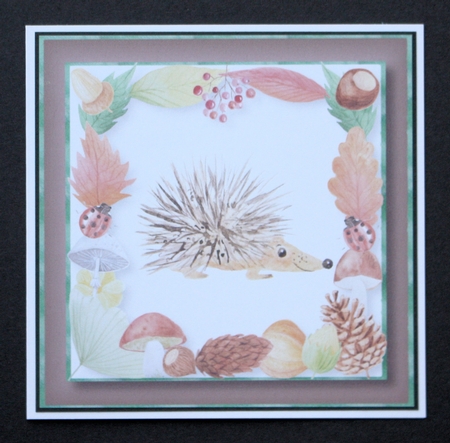 Huggable Hedgehog 8x8 by Marion Kimberley-Scott