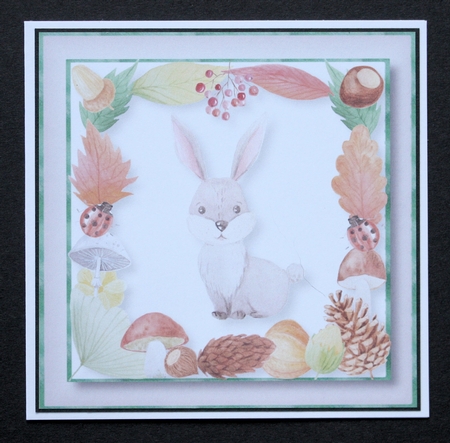 Bouncing Bunny 8x8 by Marion Kimberley-Scott