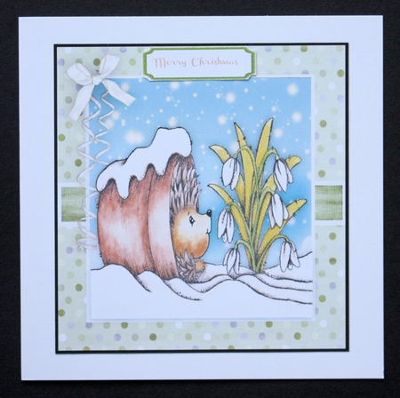 The Hibanating Hedgehog by Marion Kimberley-Scott
