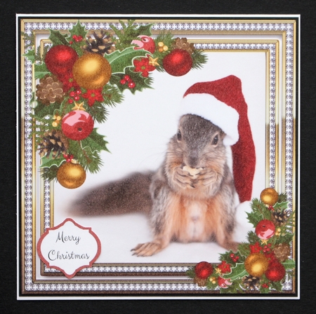 Gorgeous Squirrel In Santa Hat 8x8 by Marion Kimberley-Scott