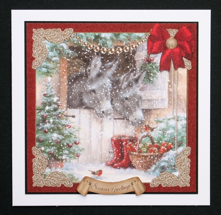Donkey Christmas by Marion Kimberley-Scott