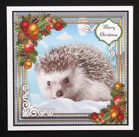 Beautiful Hedgehog in the snow 8x8 by Marion Kimberley-Scott