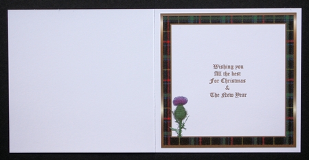 CHRISTMAS INSERT - BLACK & GREEN TARTAN & THISTLE by Marion Kimberley-Scott