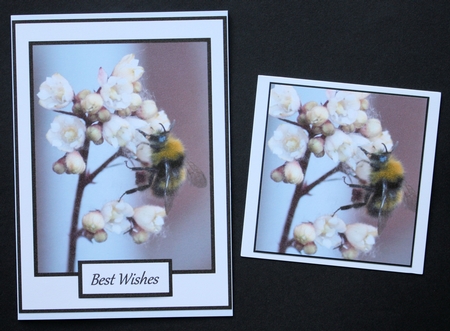 Spring by Marion Kimberley-Scott