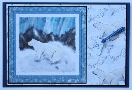 Polar Bear Background: A4 Polar Bear & Arctic Fox Winter/Christmas Design by Marion Kimberley-Scott